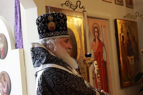 Высокопреосвященнейший Арсений, архиепископ Истринский, первый викарий Святейшего Патриарха по г. Москве, управляющий Центральным и Южным викариатствами города